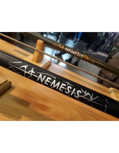 NEMESIS-2