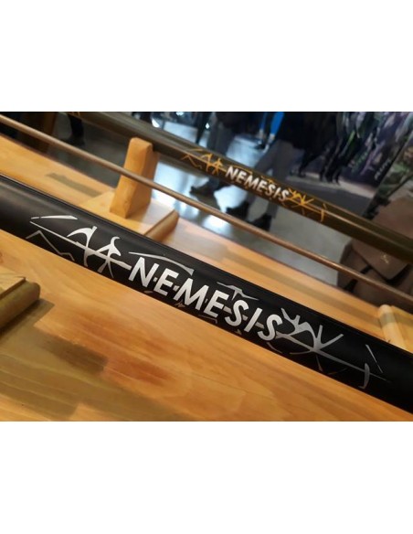 NEMESIS-2