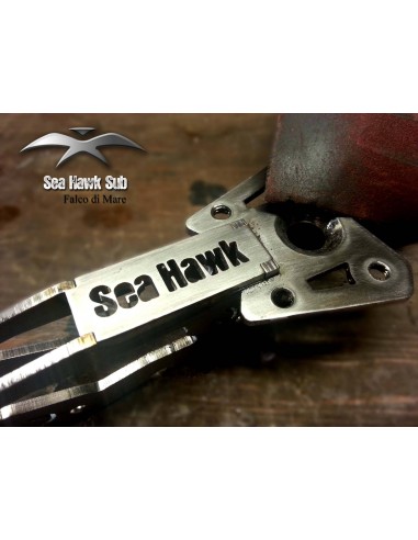SEAHAWK-7