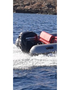 MERCURY  F60 ELPT EFI