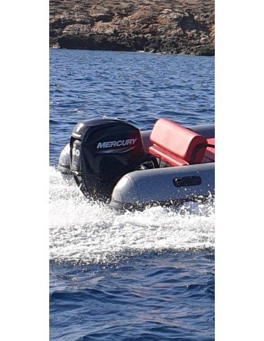 MERCURY  F60 ELPT EFI CT