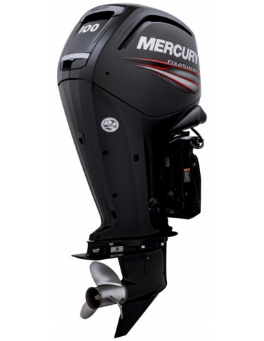 MERCURY 100 ELPT Smart-0